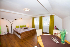 Ferienwohnung Haus Marion, Mühlbach Am Hochkönig, Österreich